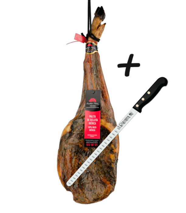 Paleta de bellota ibérica  50% raza ibérica